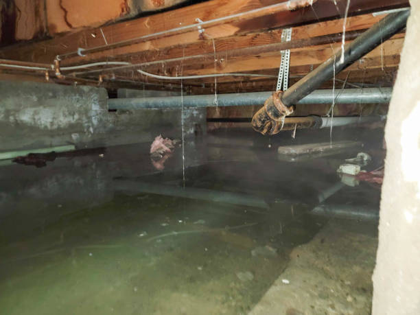  North Ballston Spa, NY Water damage restoration Pros