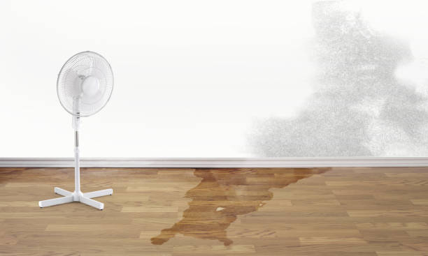 Best Water damage restoration near me  in North Ballston Spa, NY