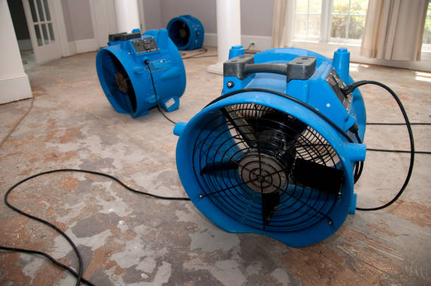 Best Water damage cleanup near me  in North Ballston Spa, NY